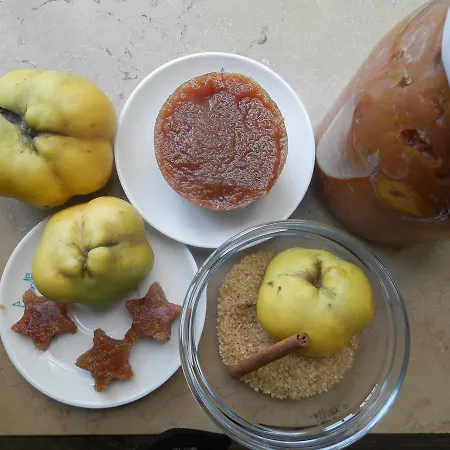 Salento D'arare Agroturismo *