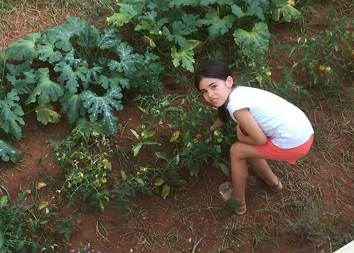 Salento D'arare Alojamento de Turismo Rural *