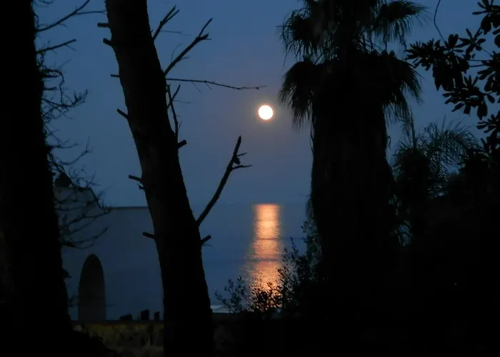 Salento D'arare *