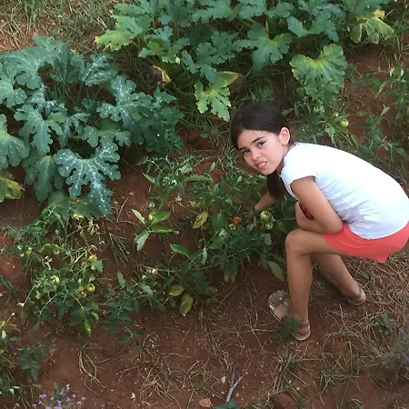 Salento D'arare Séjour à la ferme *