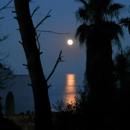Salento D'arare *